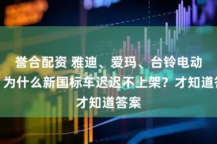 誉合配资 雅迪、爱玛、台铃电动车，为什么新国标车迟迟不上架？才知道答案