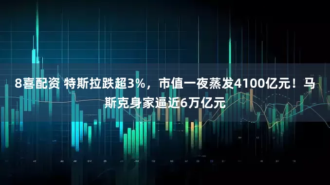 8喜配资 特斯拉跌超3%，市值一夜蒸发4100亿元！马斯克身家逼近6万亿元