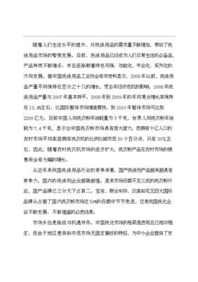 ◆◆(定稿)洗涤日化产品生产销售项目可行性投资论证建议报告(喜欢就下吧)-资源下载